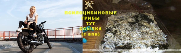 твердый Алексеевка