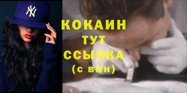 твердый Алексеевка