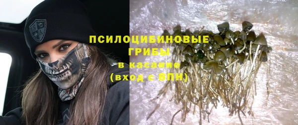 твердый Алексеевка