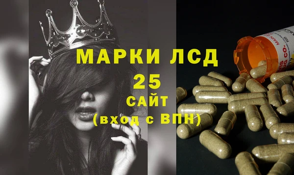 стафф Алзамай