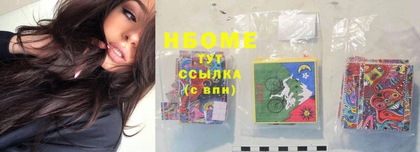 стафф Алзамай