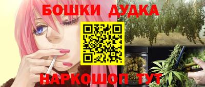 прущие крисы Кингисепп