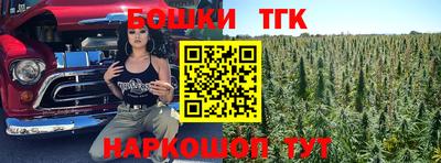 прущие крисы Кингисепп