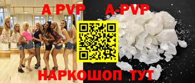 прущие крисы Кингисепп
