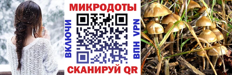 продажа наркотиков Кинель Псилоцибиновые грибы MAGIC MUSHROOMS