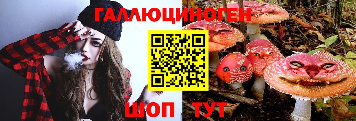 Галлюциногенные грибы Psilocybe  Вход с VPN  Кинель 